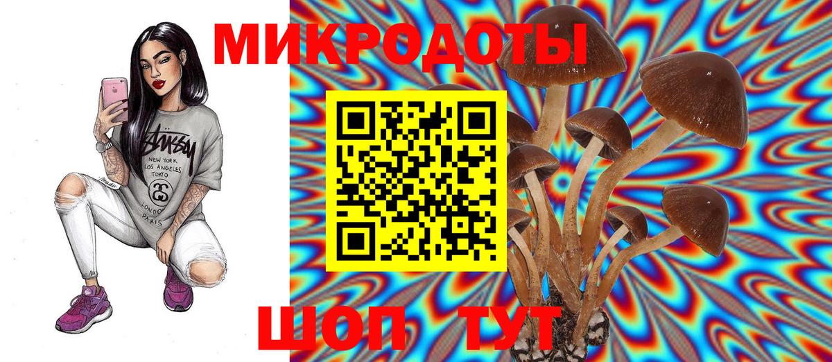 Усть-Джегута  Галлюциногенные грибы мухоморы  Вход с VPN 