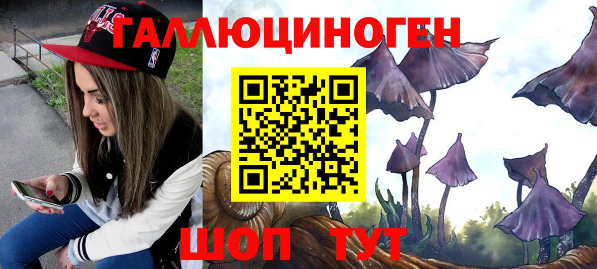Псилоцибиновые грибы MAGIC MUSHROOMS Усть-Джегута